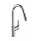 Hansgrohe Focus Stainless steel