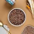PERRO Beef with parsley root - wet dog food - 850g
