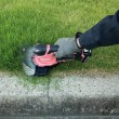 Grass and live shears. 12V UM600DSAP MAKITA