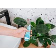 Concept ZK3020 Sonic toothbrush for children 1 5 years blue
