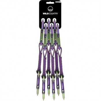 Wild Country 40-0000002003-5823-1 climbing carabiner Locking carabiner Green, Purple 6 pc(s)