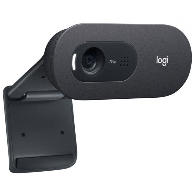 Logitech C505e