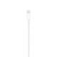 Apple Lightning to USB Cable (1m)