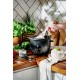 Rice cooker CAMRY CR 6419