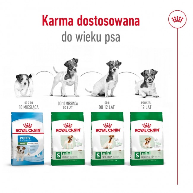 ROYAL CANIN Adult Mini S - dry dog food - 4kg ROYAL CANIN Adult Mini S - dry dog food - 4kg