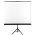 Avtek Tripod Standart 175 projection screen 1:1