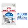 ROYAL CANIN FHN Indoor jelly - wet food for adult cats - 12x85g