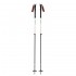 Black Diamond Expedition 2 ski pole 2 pc(s) 155 cm Black, Grey