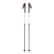 Black Diamond Expedition 2 ski pole 2 pc(s) 155 cm Black, Grey Black Diamond Expedition 2 ski pole 2 pc(s) 155 cm Black, Grey