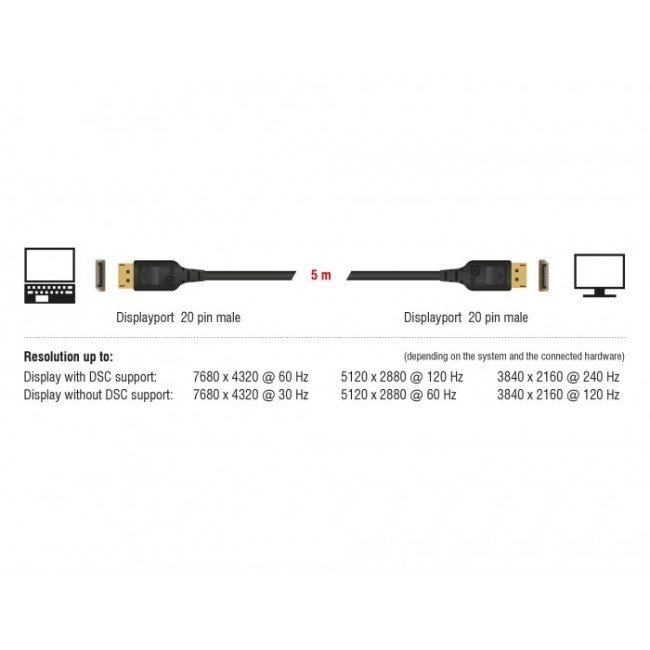 DeLOCK 85663 DisplayPort cable 5 m Black