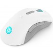 Lenovo Legion M600 Wireless Gaming mouse Ambidextrous RF Wireless + Bluetooth + USB Type-A Optical 16000 DPI Lenovo Legion M600 Wireless Gaming mouse Ambidextrous RF Wireless + Bluetooth + USB Type-A Optical 16000 DPI