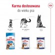 ROYAL CANIN Maxi Loaf - wet dog food - 410g