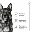 ROYAL CANIN Maxi Ageing Loaf - wet dog food - 410g