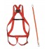 BASIC set 10+shock absorber 31A 30/30+2 carabiners