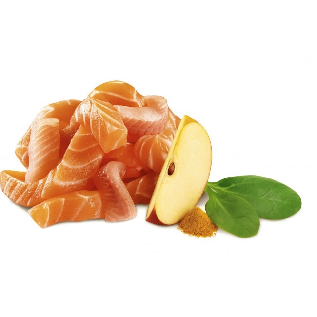 SHELMA Salmon and white fish pate - wet cat food - 100g