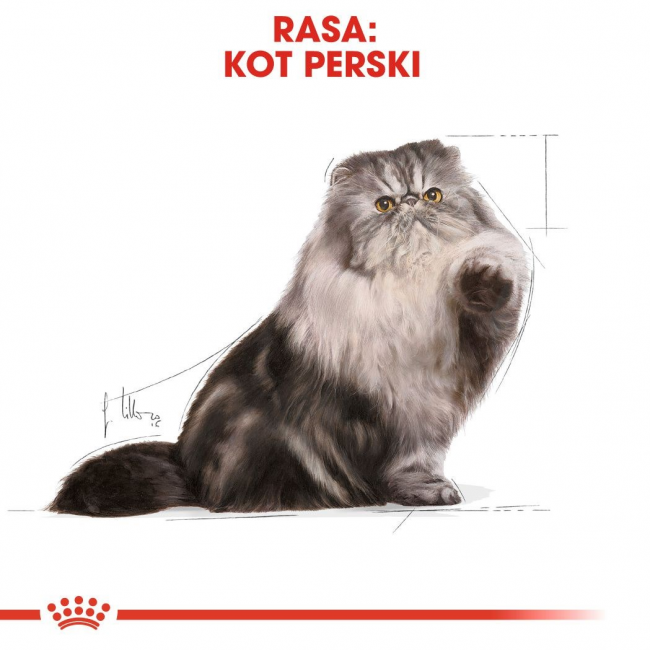 ROYAL CANIN Persian Adult - dry cat food - 2kg ROYAL CANIN Persian Adult - dry cat food - 2kg