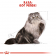 ROYAL CANIN Persian Adult - dry cat food - 2kg ROYAL CANIN Persian Adult - dry cat food - 2kg