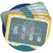 Clementoni Scientific Fun - Electronics Laboratory
