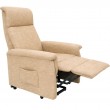 CALIFORNIA BEIGE Geriatric Standing Chair