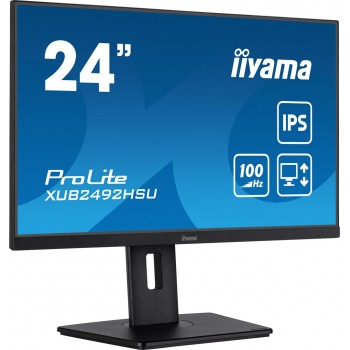 iiyama 24 IPS technology panel with height adjustable stand and 100Hz refresh rate