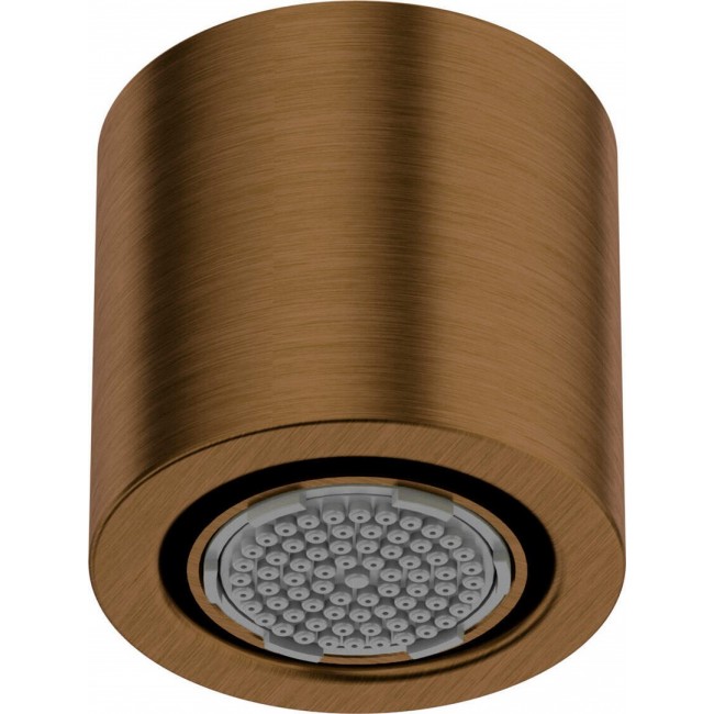 1-function shower head 1-function shower head