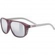Uvex cosmic Unisex Full rim Silver