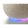 Google Home Speaker