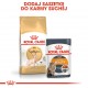 Royal Canin Sphynx dry cat food 2 kg Royal Canin Sphynx dry cat food 2 kg