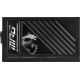 MSI MPG A1250GS 1250W PCIE5 80+ Gold power supply (306-7ZPFX11-CE0)