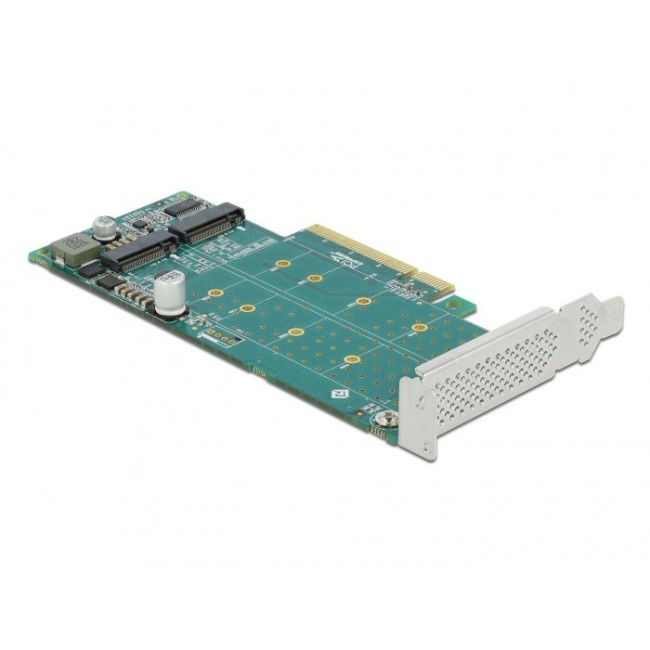 DeLOCK PCI Express x8 Card to 2 x internal NVMe M.2 Key M - Bifurcation - Low Profile Form Factor