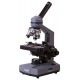 Levenhuk 320 BASE 1000x Optical microscope Levenhuk 320 BASE 1000x Optical microscope
