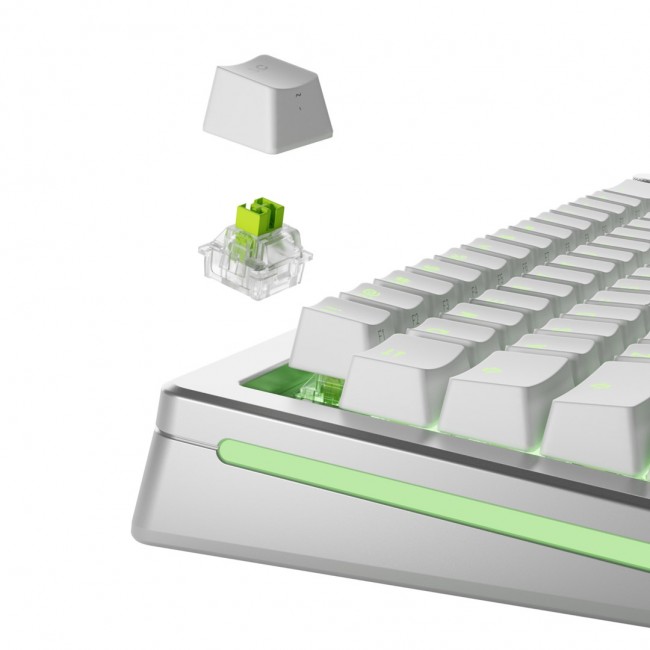 Glorious Gaming Glorious Raptor HE Switches - 36 pieces