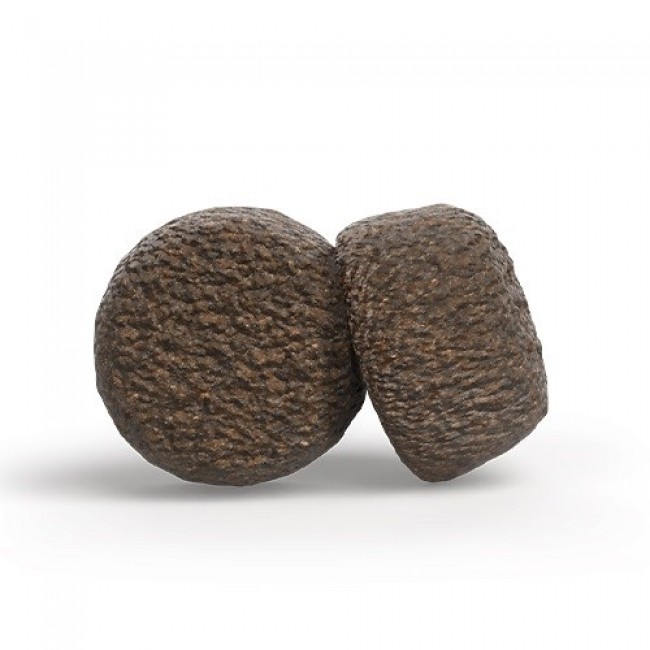 JOSERA Adult Lamb & Rice - dry dog food - 900g