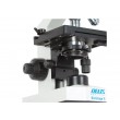 Delta Optical BioStage II Microscope