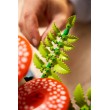LEGO BOTANICALS 11505 Woodland Mushrooms