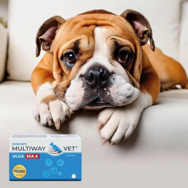 JM SANTE Multiway Vet Duocaps Ulga Max - twist-off capsules for relieving stress and discomfort in dogs and cats 60 pcs JM SANTE Multiway Vet Duocaps Ulga Max - twist-off capsules for relieving stress and discomfort in dogs and cats 60 pcs