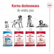 ROYAL CANIN Adult Medium - dry dog food - 4kg