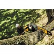 DEWALT POLE SAW 18V 1x5.0Ah 20cm LONG 2-3m DCMPS567P1