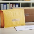 DYMO Authentic LabelWriter Large Address Labels | 36mm x 89mm | Black Print on Clear Labels | 2 Rolls of 130 (260 Easy-Peel Labels) | Self-Adhesive | for LabelWriter Label Makers DYMO Authentic LabelWriter Large Address Labels | 36mm x 89mm | Black Print on Clear Labels | 2 Rolls of 130 (260 Easy-Peel Labels) | Self-Adhesive | for LabelWriter Label Makers