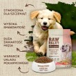 VETEXPERT Raw Paleo Healthy Grain Puppy Salmon and barley - dry dog food - 10 kg