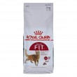 Royal Canin Feline Fit 2kg cats dry food Adult