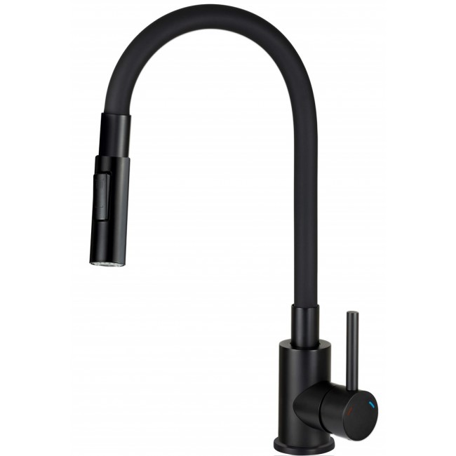Kitchen faucet with bent spout - 2 types of spray