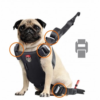 ZOLUX Travel Safe S red - dog harness