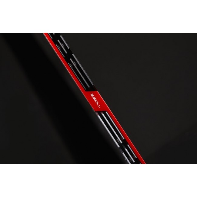 G.Skill 16GB DDR4 memory module 2 x 8 GB