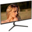 LCD Monitor 24