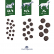 BALTICA Smaki region w Medium and large breeds Duck with pear - dry dog food - 12kg