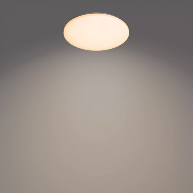 Philips Functional Izso Ceiling Light 40 W