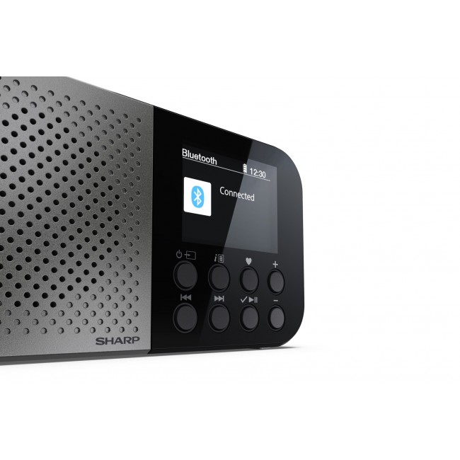 Sharp DR-P520 Personal Digital Grey Sharp DR-P520 Personal Digital Grey