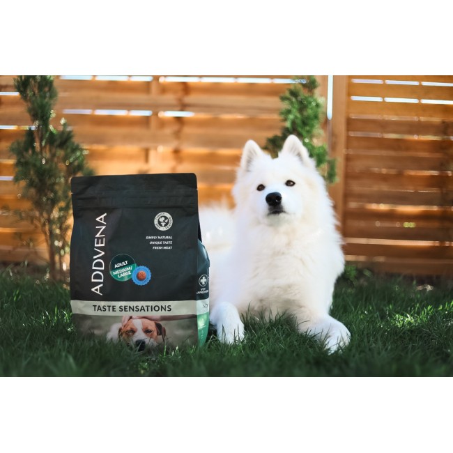 ADDVENA Taste Sensations Adult Medium/Large Turkey - dry dog food - 10kg ADDVENA Taste Sensations Adult Medium/Large Turkey - dry dog food - 10kg
