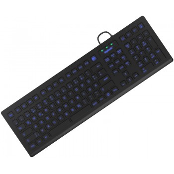 KeySonic KSK-8031INEL-B (DE) keyboard Industrial USB QWERTZ German Black